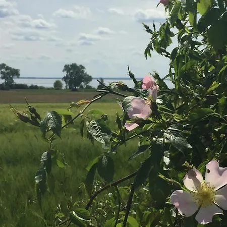 公寓 Seeblick - Insel Usedom