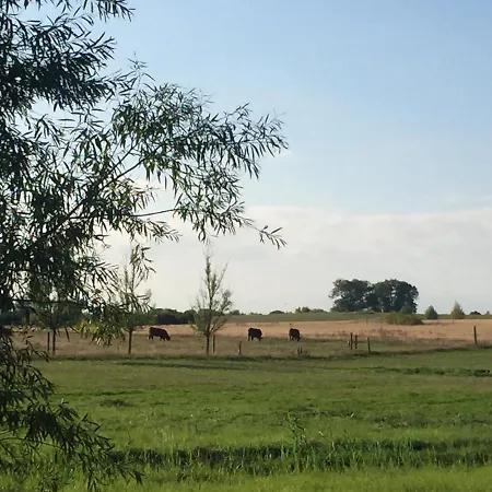 Seeblick - Insel Usedom *