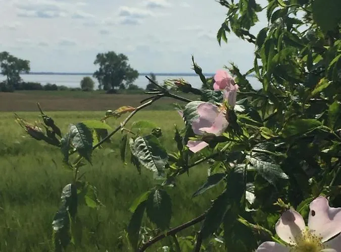 Διαμέρισμα Seeblick - Insel Usedom