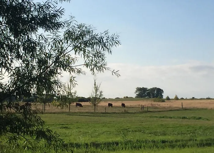 Seeblick - Insel Usedom *